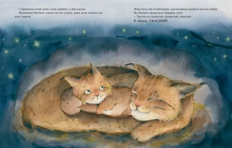 Кто прячется в темноте? null - 5