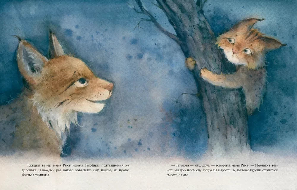 Кто прячется в темноте? null - 3