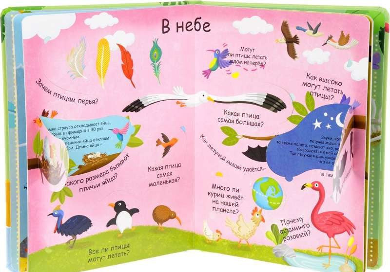 Животные (60 волшебных окошек) 9785436604411