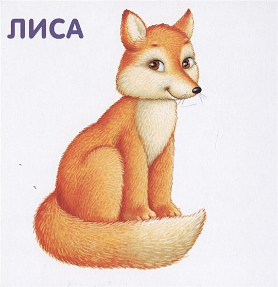 Книжки-картонки. Животные и детеныши 978-5-4366-0556-2 - 0