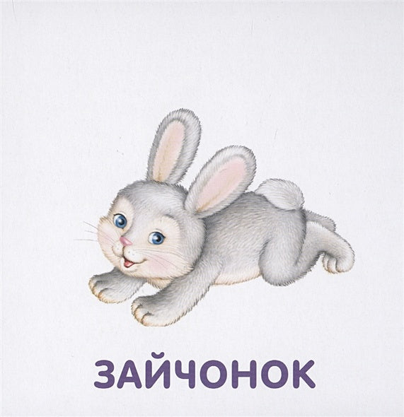 Книжки-картонки. Животные и детеныши 978-5-4366-0556-2 - 3