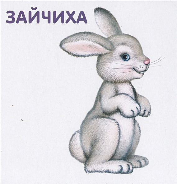 Книжки-картонки. Животные и детеныши 978-5-4366-0556-2 - 2