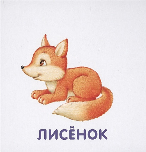 Книжки-картонки. Животные и детеныши 978-5-4366-0556-2 - 1