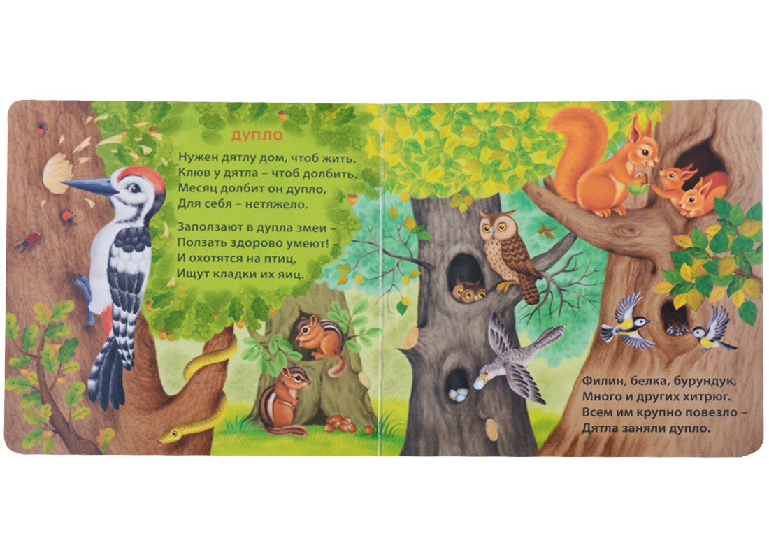 Книжки - картонки (бол). Удивительные дома животных 9785436607863