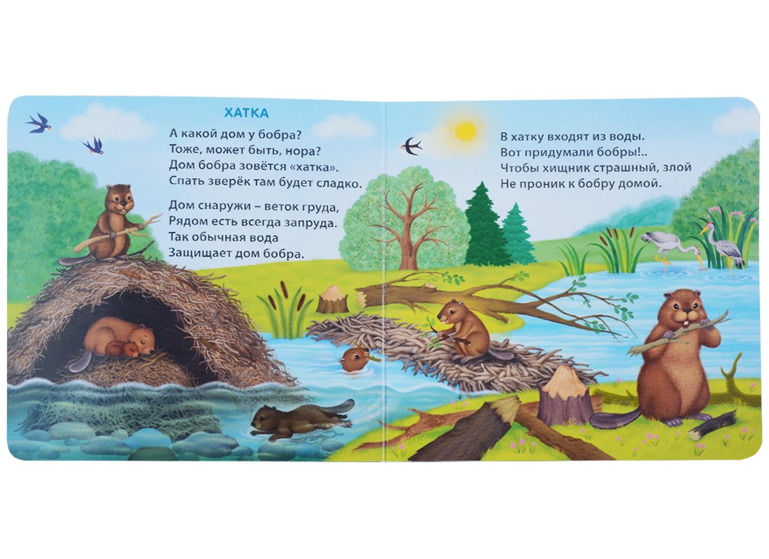 Книжки - картонки (бол). Удивительные дома животных 9785436607863