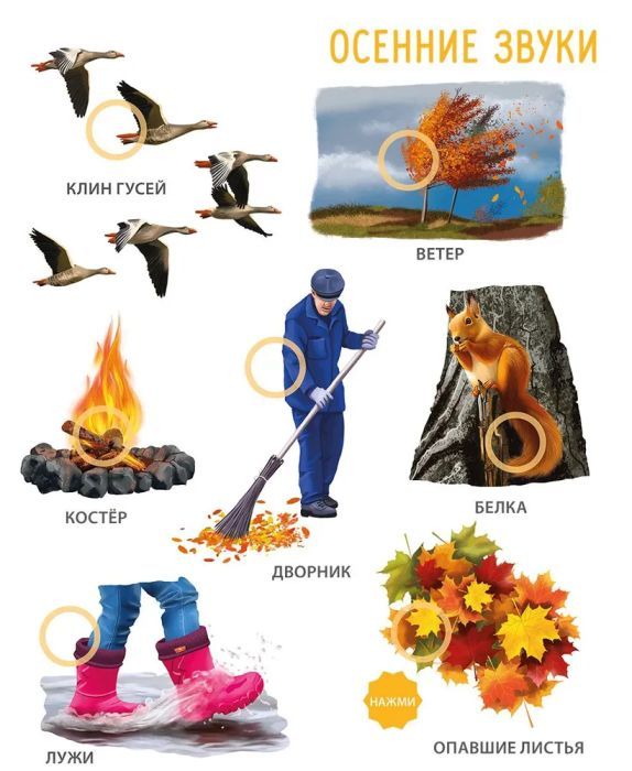 50 звуков. Мир вокруг меня 9785436607986