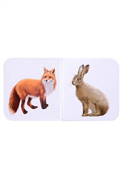 Мини-книжки для малышки. 9 книжек-кубиков 978-5-4366-0816-7 - 5