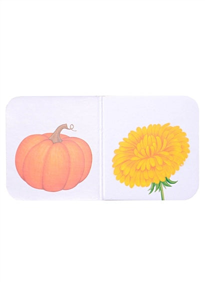 Мини-книжки для малышки. 9 книжек-кубиков 978-5-4366-0816-7 - 3