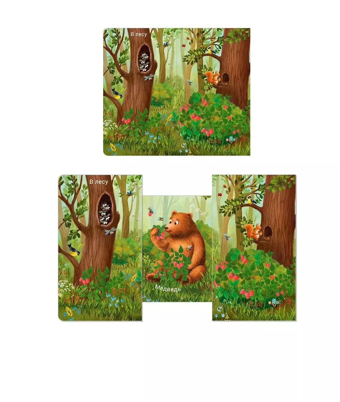 Книжки - задвижки. Кто где живет? 9785436608266