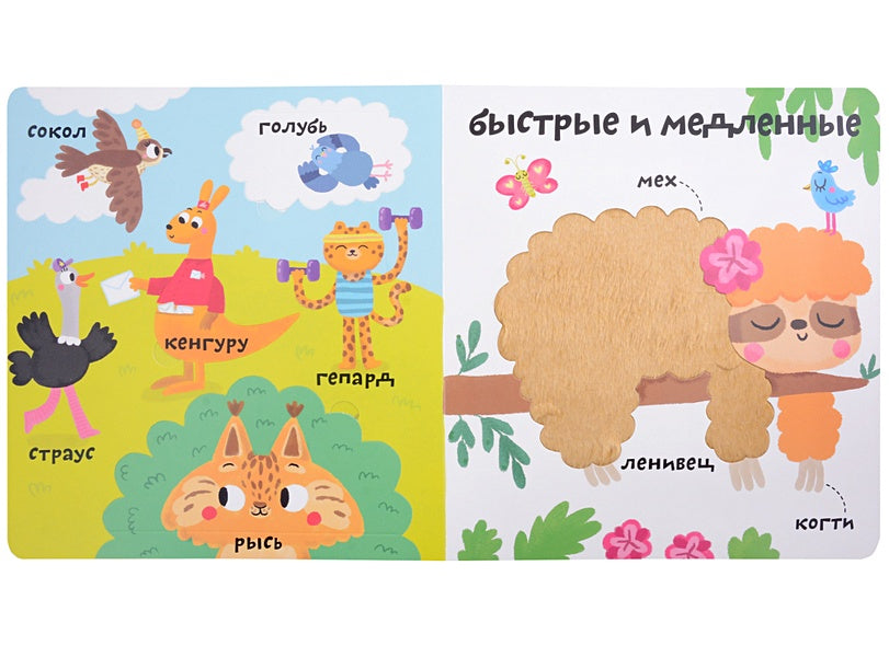 Мои первые 100 слов с большими окошками. Такие разные животные 978-5-4366-0874-7 - 0