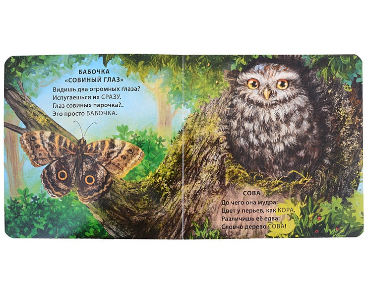 Животные - невидимки. Загадки-рифмы 978-5-4366-0892-1 - 1