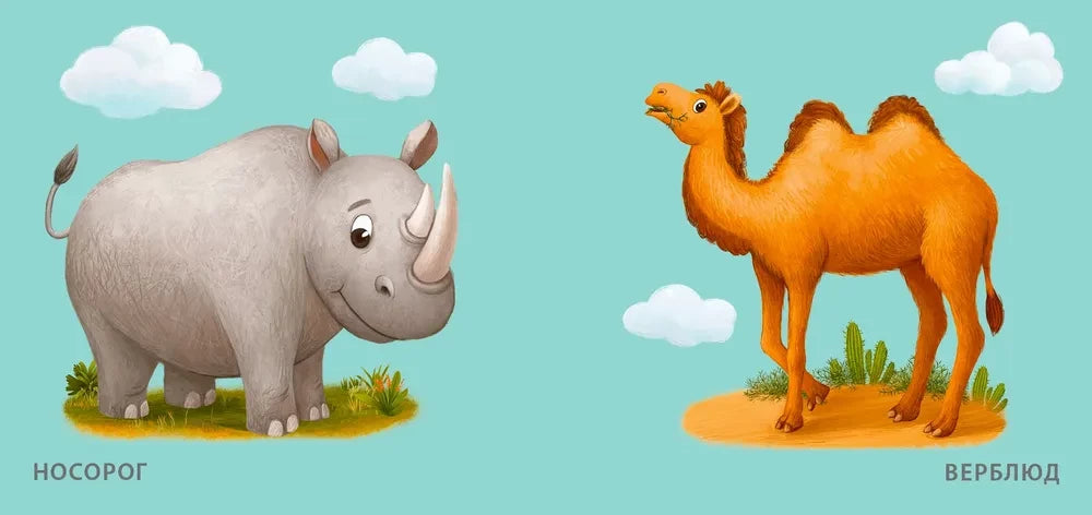 Дикие животные null - 1