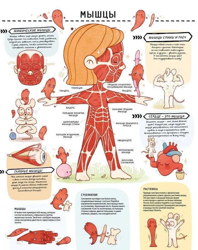 Книга с секретами. Секреты тела человека 978-5-4366-0929-4 - 1