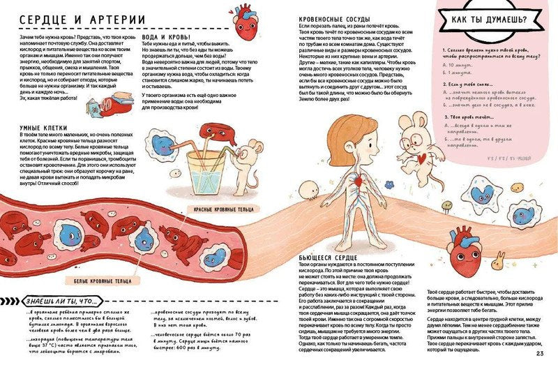 Книга с секретами. Секреты тела человека 978-5-4366-0929-4 - 3