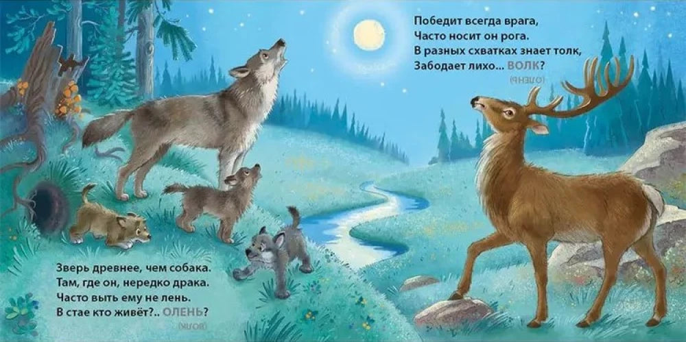 Загадки - обманки. Дикие животные null - 3