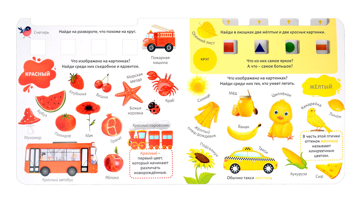 Изучаем слова,цвета и формы 978-5-4366-0955-3 - 1