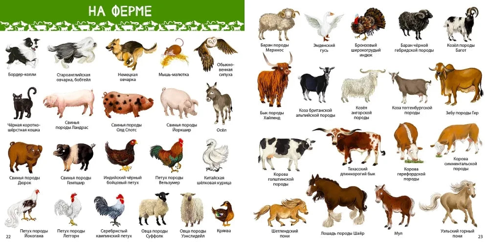 1000 картинок. Животные мира 9785436610030