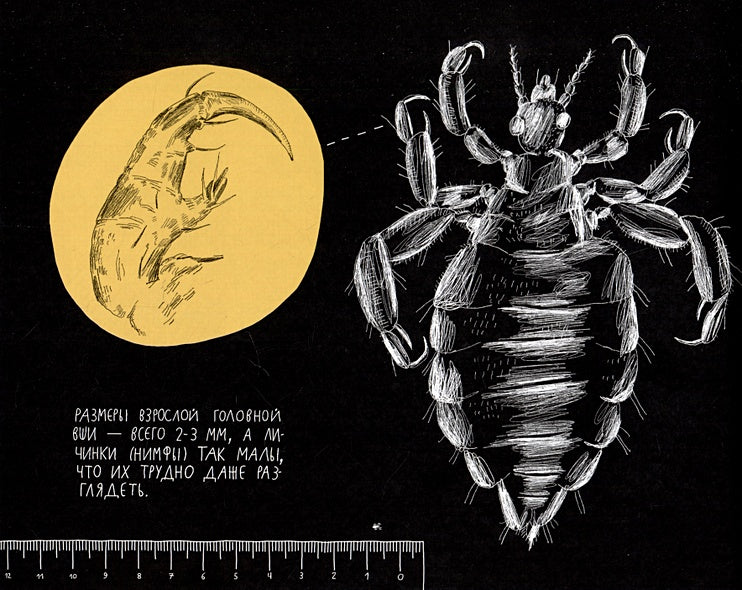 Почему голова чешется? 978-5-4370-0403-6 - 2