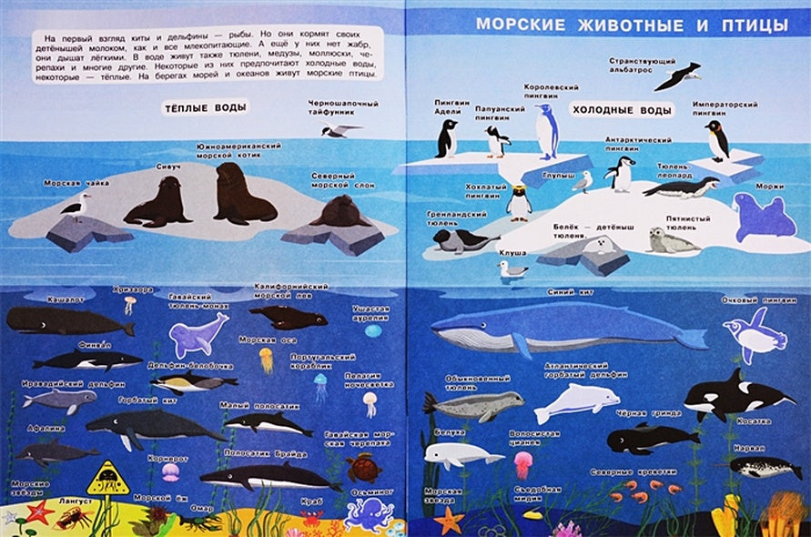 Мой первый атлас. Тайны мирового океана (с наклейками) 978-5-465-03837-9 - 2
