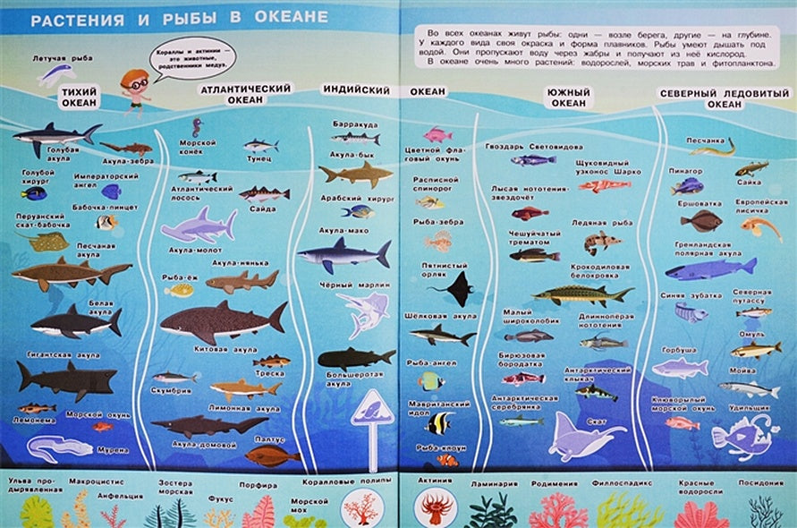 Мой первый атлас. Тайны мирового океана (с наклейками) 978-5-465-03837-9 - 1