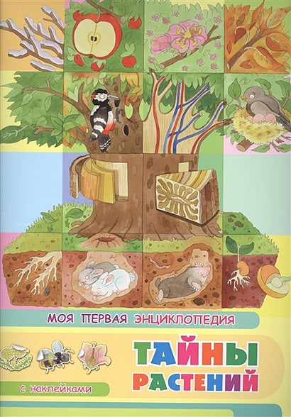 Обложка Тайны растений. Моя первая энциклопедия с наклейками 978-5-465-03885-0