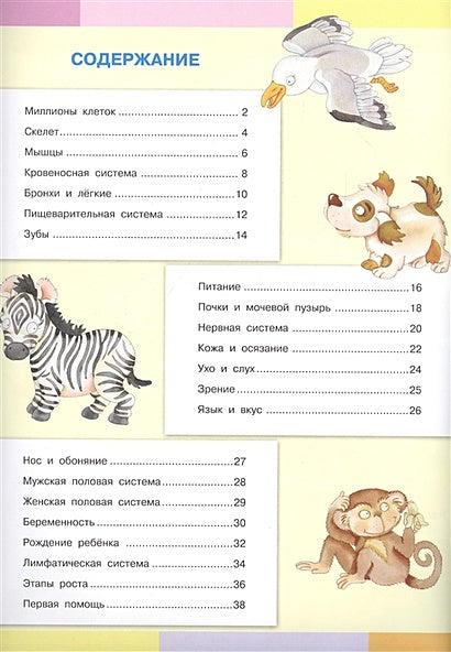 Тело человека. Моя первая энциклопедия с наклейками 978-5-465-03886-7 - 0