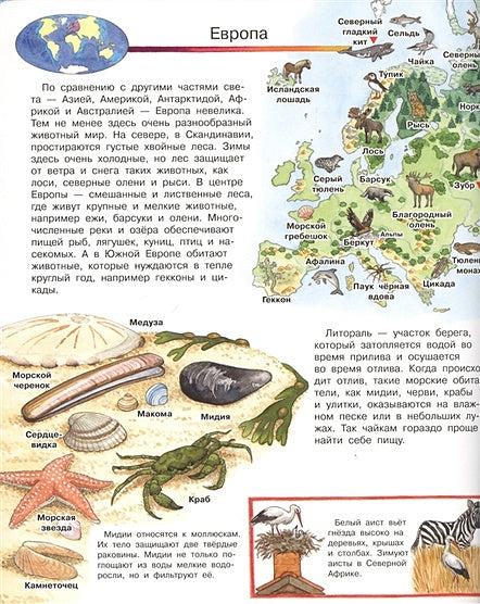 Что? Почему? Зачем? Мой первый атлас животных (с волшебными окошками) 978-5-465-03892-8 - 0