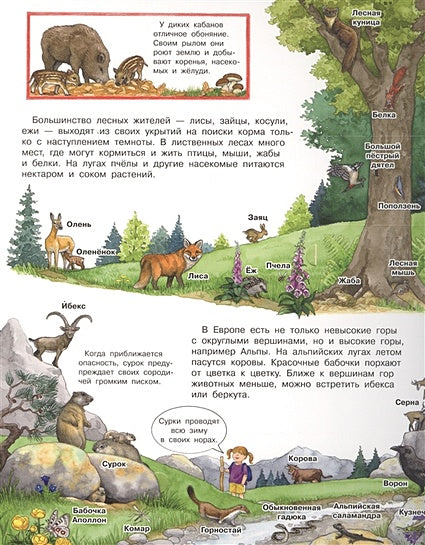 Что? Почему? Зачем? Мой первый атлас животных (с волшебными окошками) 978-5-465-03892-8 - 1