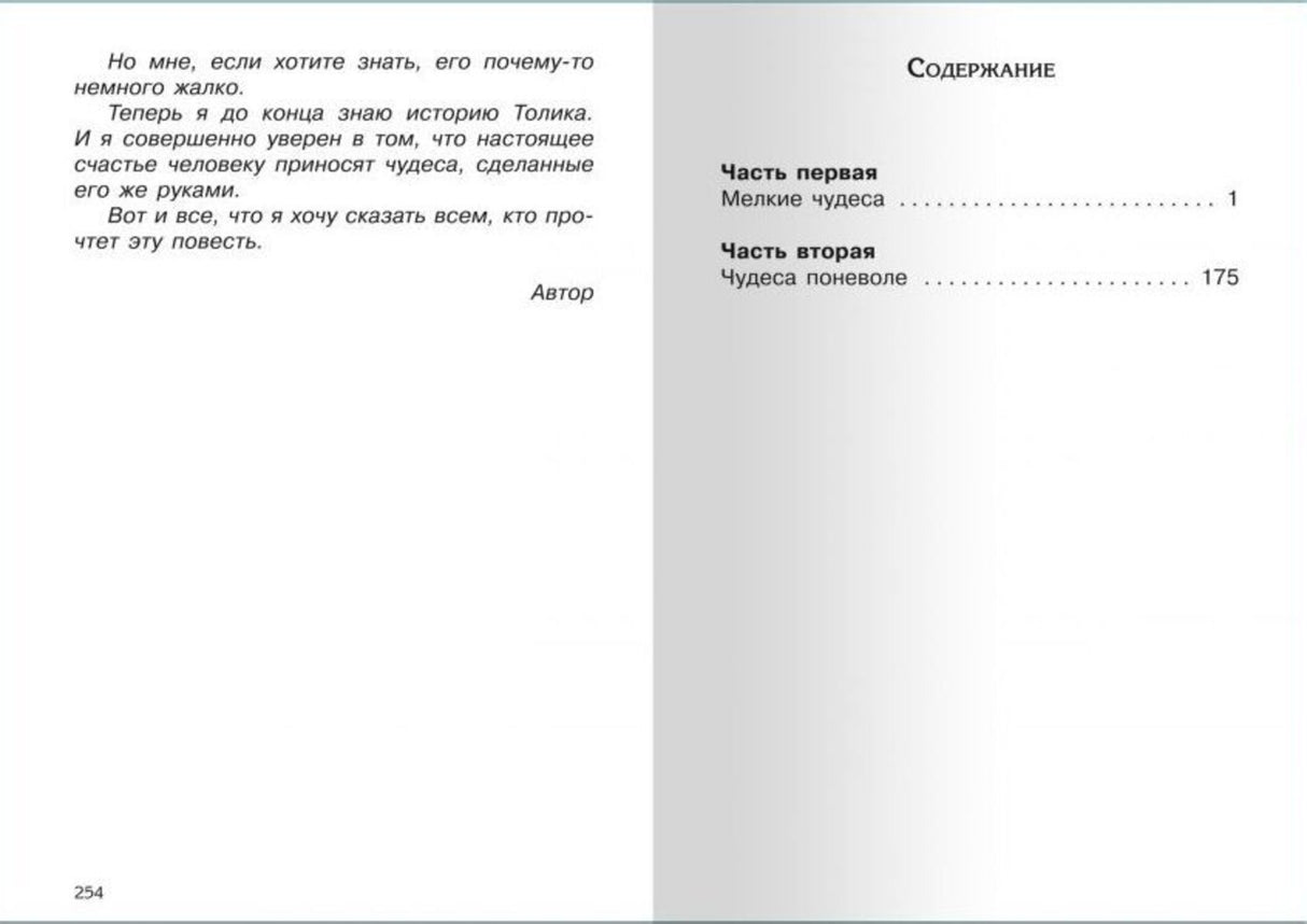 Шел по городу волшебник null - 5