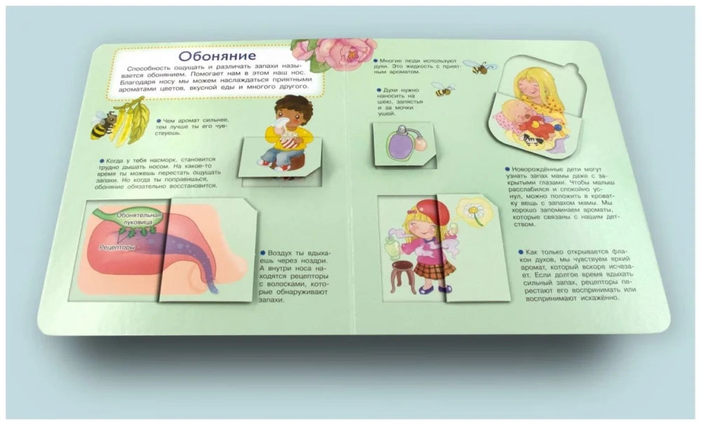 Что? Почему? Зачем? Наши органы чувств (36 окошек) null - 5