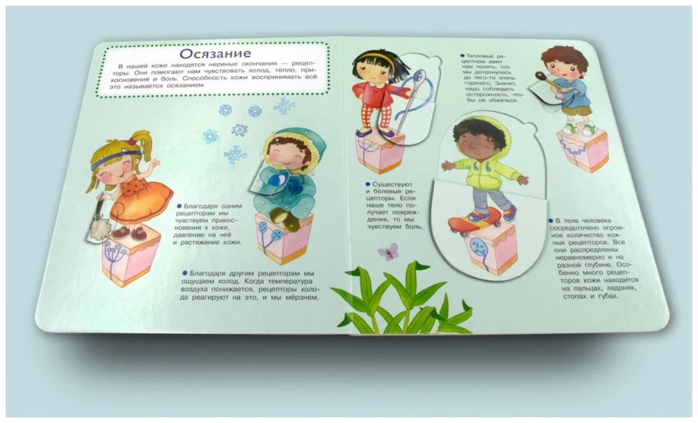 Что? Почему? Зачем? Наши органы чувств (36 окошек) null - 2