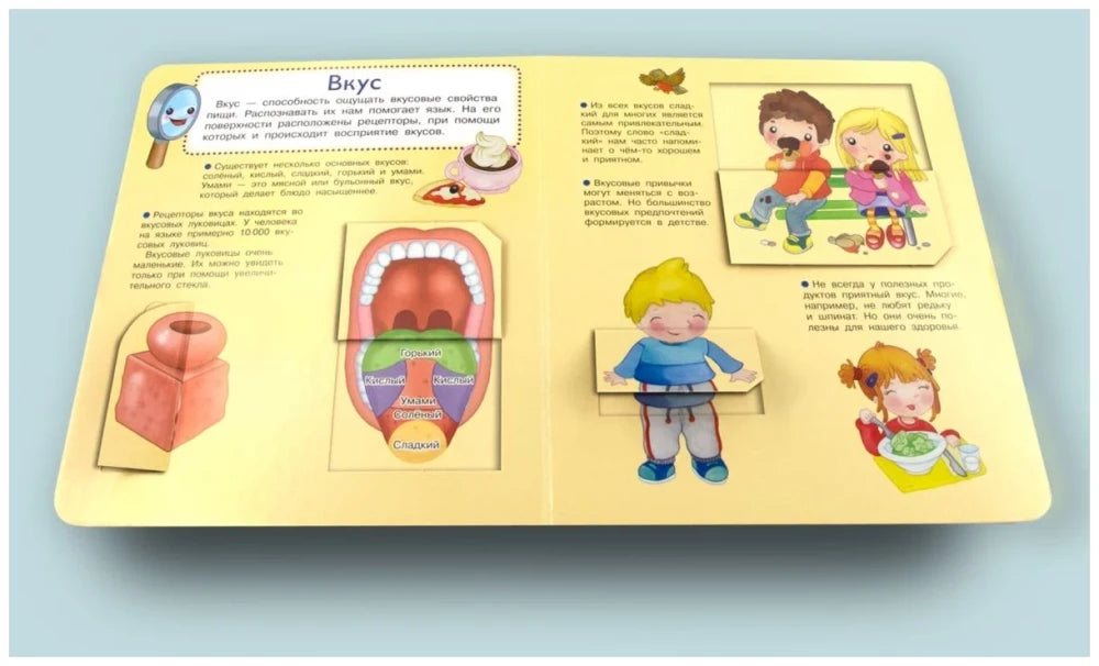 Что? Почему? Зачем? Наши органы чувств (36 окошек) null - 4