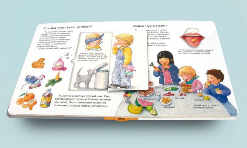 Что? Почему? Зачем? Вижу, слышу, чувствую (с волшебными окошками) 9785465043748