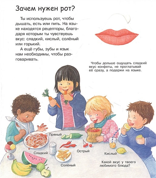 Что? Почему? Зачем? Вижу, слышу, чувствую (с волшебными окошками) 978-5-465-04374-8 - 2