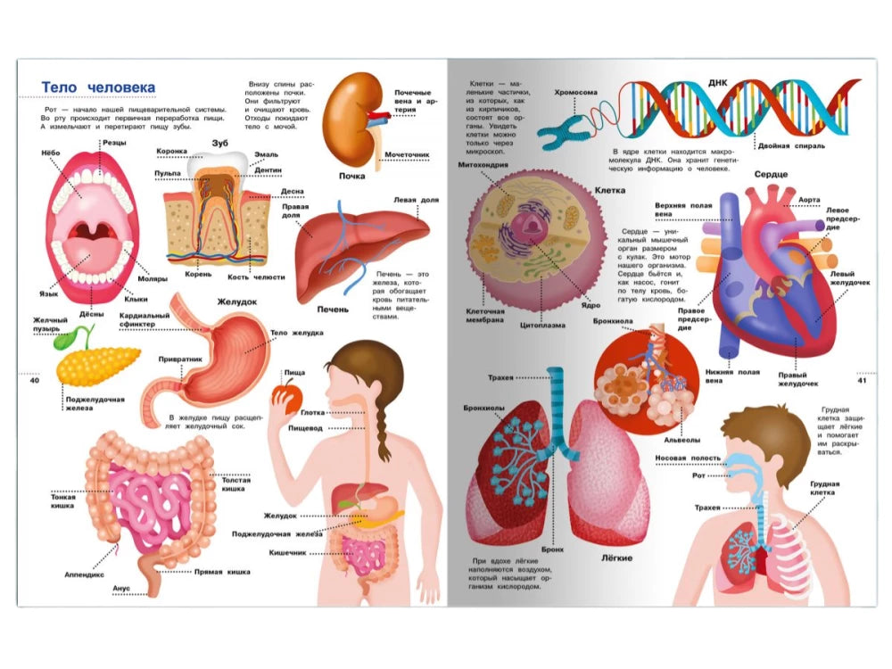 Иллюстрированная энциклопедия для детей 9785465046923