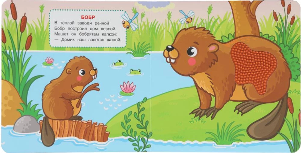 Лесные животные null - 2