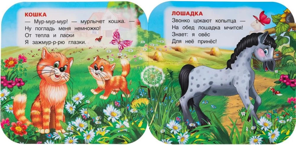 Книжка-гармошка - Домашние животные null - 3