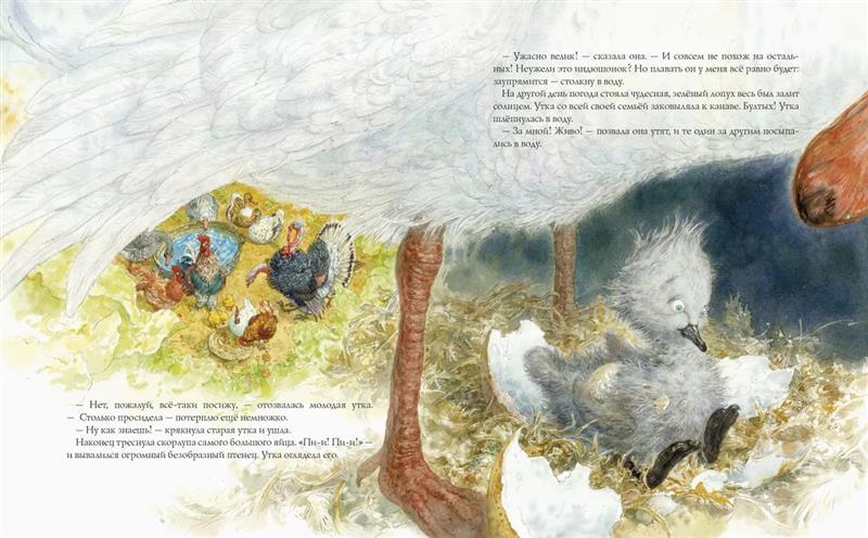 Гадкий утенок 978-5-6047351-0-7 - 5