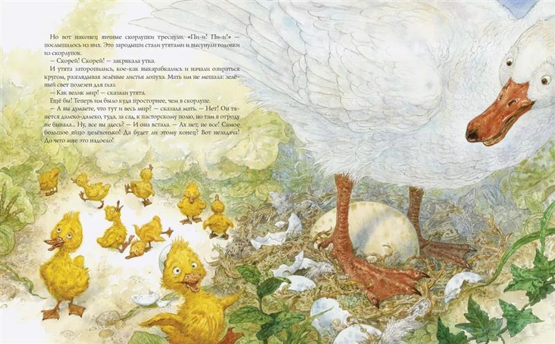 Гадкий утенок 978-5-6047351-0-7 - 4