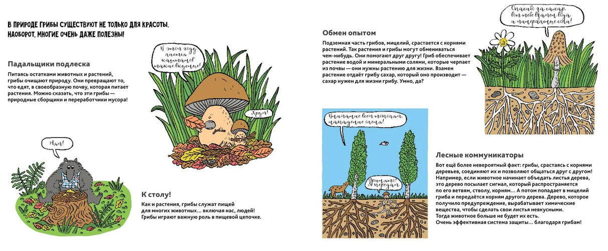 Грибы 9785604942772