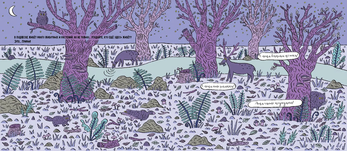 Грибы 978-5-6049427-7-2 - 1