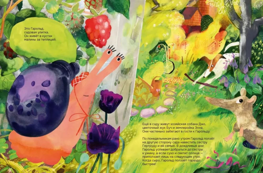 Путешествие Гарольда null - 1