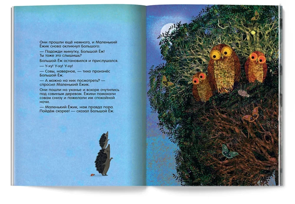 Большой Еж и Маленький Ежик. Подожди минутку! 9785605177197
