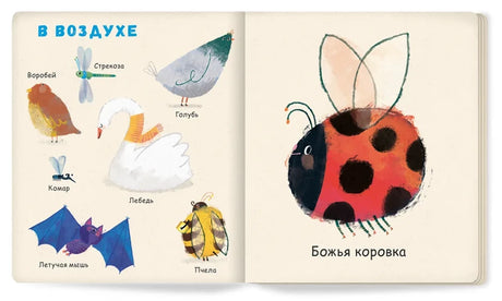 Мои первые животные null - 2