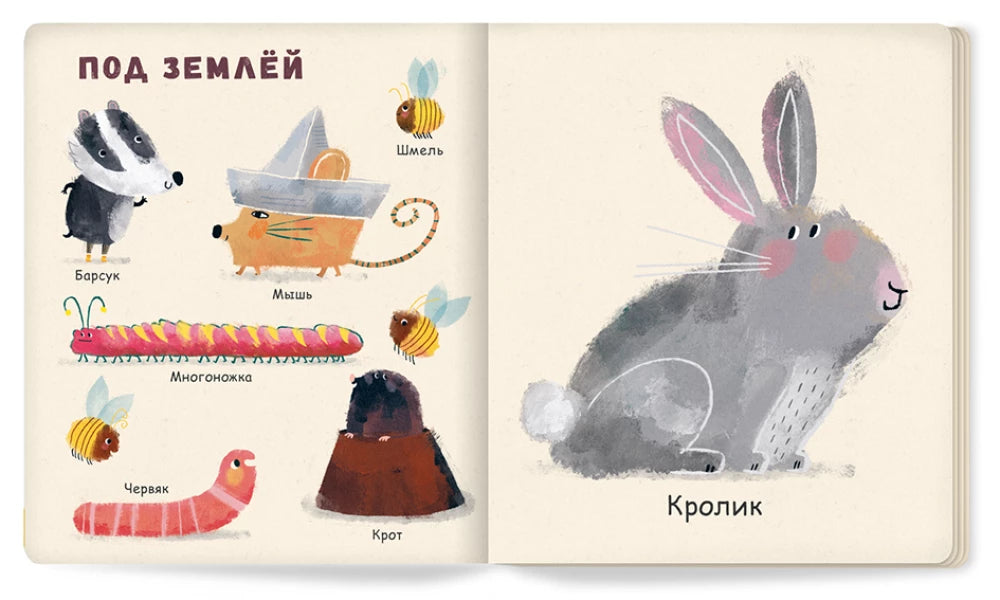 Мои первые животные null - 1