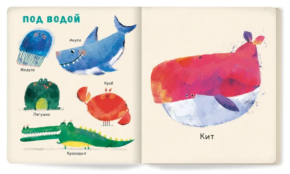 Мои первые животные null - 4