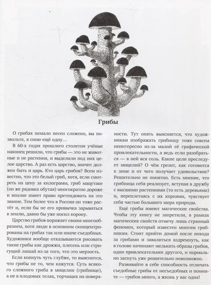 Природоведение 9785605206606