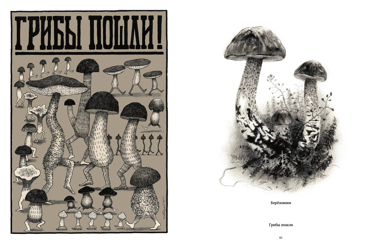 Природоведение 978-5-6052066-0-6 - 3