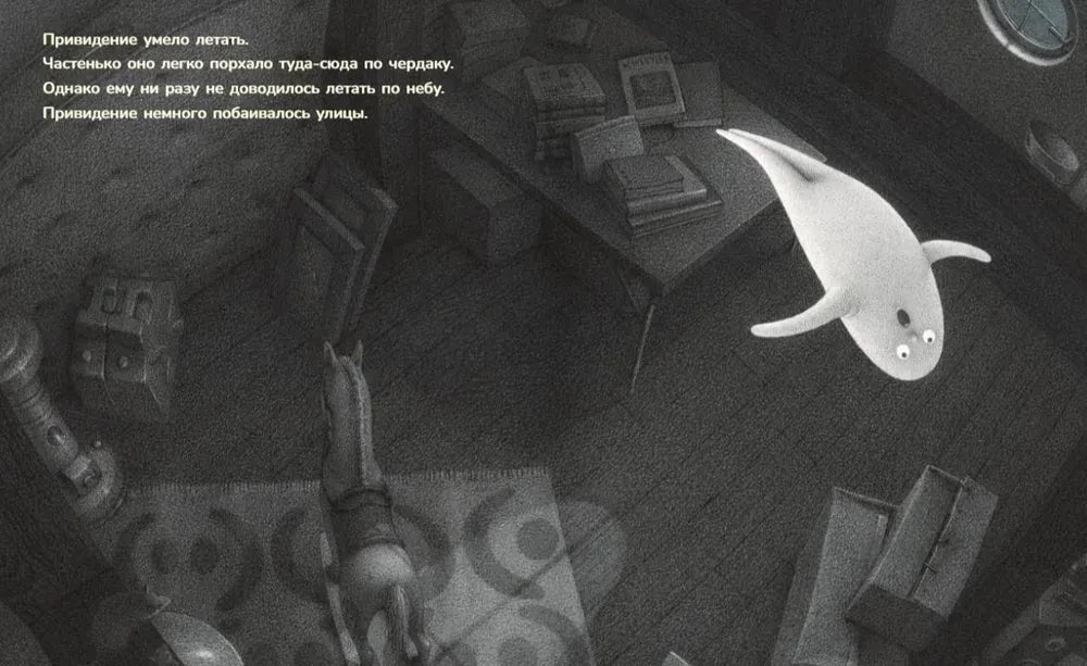 Чердачное привидение 9785605224495