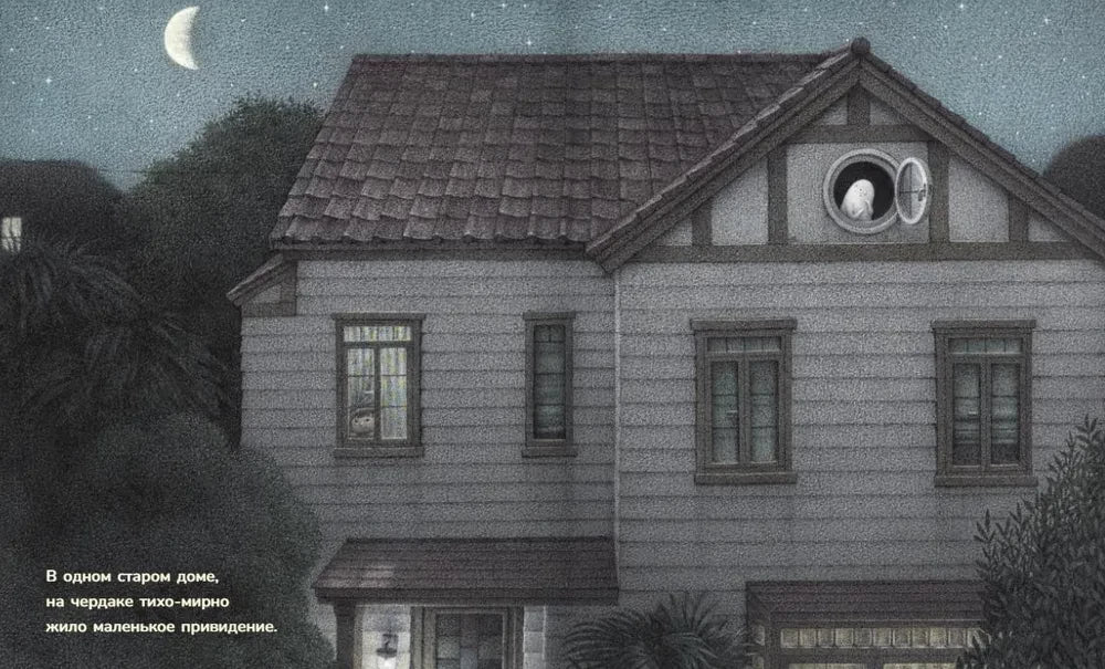 Чердачное привидение null - 1